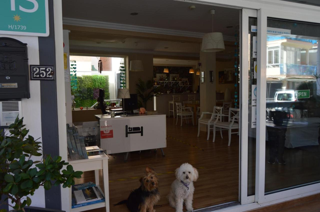 Hostal Mar Del Plata (Adults Only) El Arenal  Extérieur photo